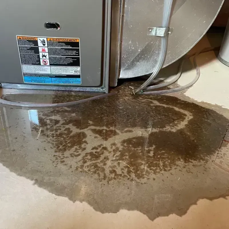 Appliance Leak Cleanup in Maryland Heights, MO